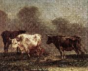 POTTER, Paulus Cows in a Meadow af oil painting artist